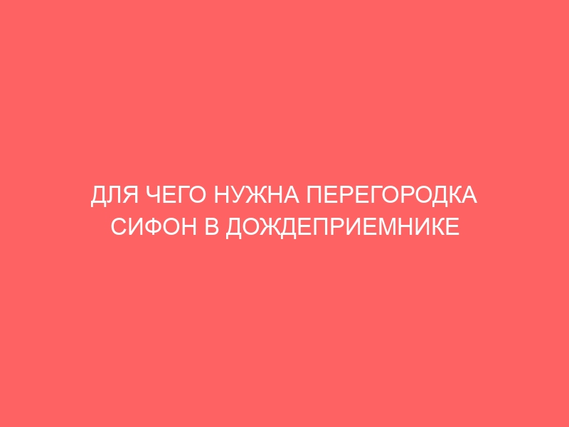 ДЛЯ ЧЕГО НУЖНА ПЕРЕГОРОДКА СИФОН В ДОЖДЕПРИЕМНИКЕ