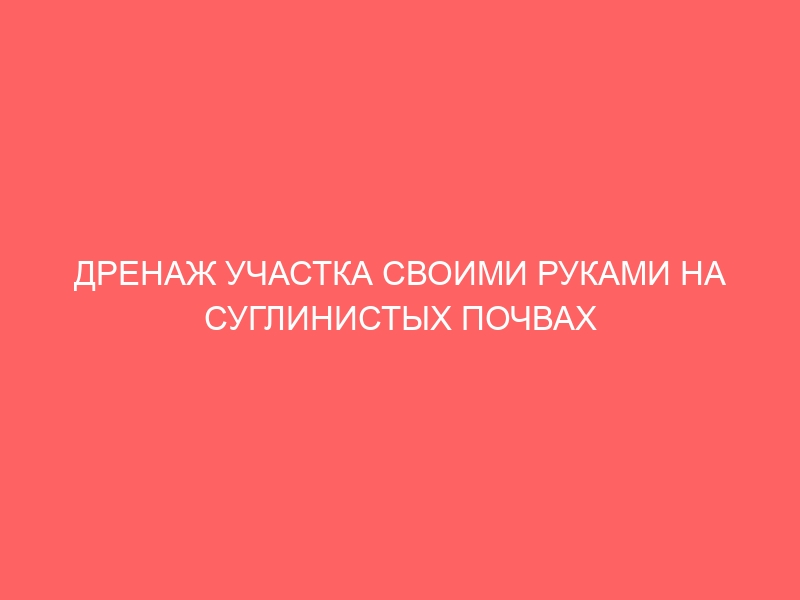 ДРЕНАЖ УЧАСТКА СВОИМИ РУКАМИ НА СУГЛИНИСТЫХ ПОЧВАХ