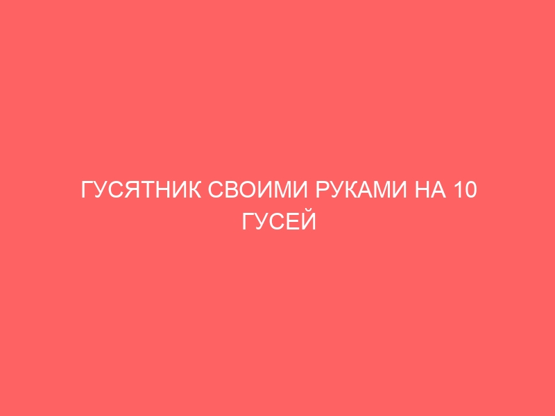 ГУСЯТНИК СВОИМИ РУКАМИ НА 10 ГУСЕЙ