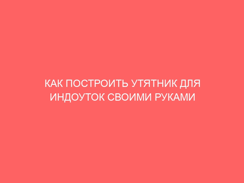 КАК ПОСТРОИТЬ УТЯТНИК ДЛЯ ИНДОУТОК СВОИМИ РУКАМИ