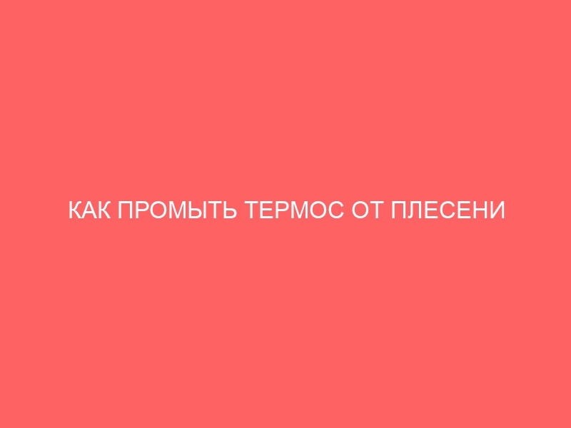 КАК ПРОМЫТЬ ТЕРМОС ОТ ПЛЕСЕНИ