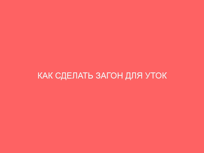 КАК СДЕЛАТЬ ЗАГОН ДЛЯ УТОК