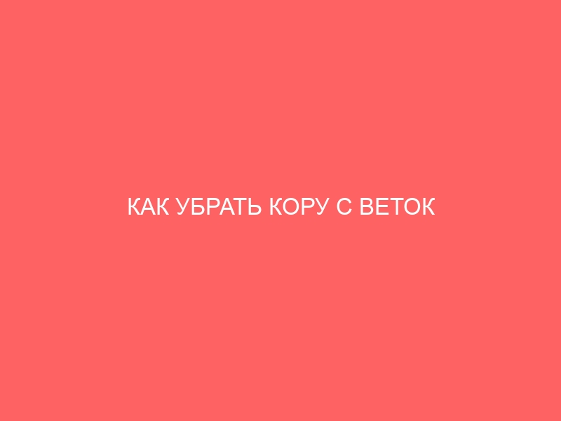 КАК УБРАТЬ КОРУ С ВЕТОК