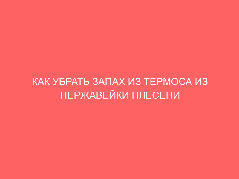 КАК УБРАТЬ ЗАПАХ ИЗ ТЕРМОСА ИЗ НЕРЖАВЕЙКИ ПЛЕСЕНИ