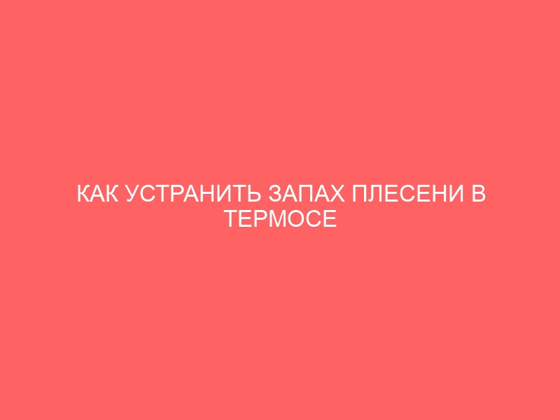 КАК УСТРАНИТЬ ЗАПАХ ПЛЕСЕНИ В ТЕРМОСЕ