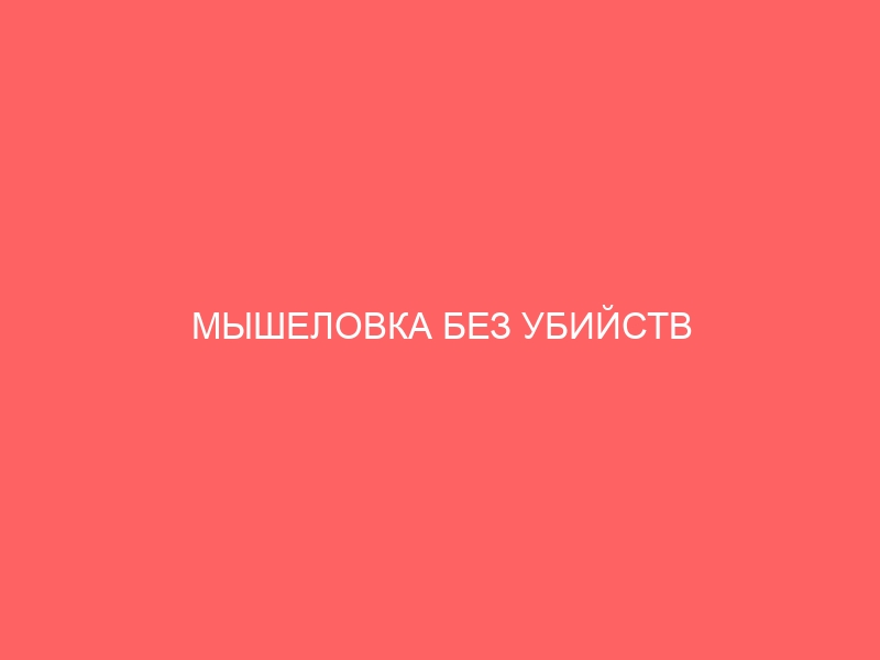 myshelovka bez ubijstv 4848