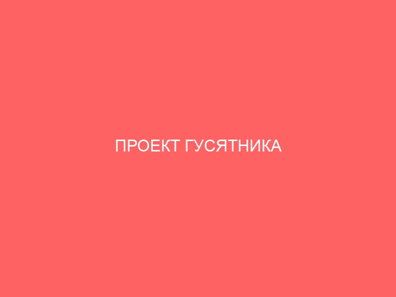 ПРОЕКТ ГУСЯТНИКА