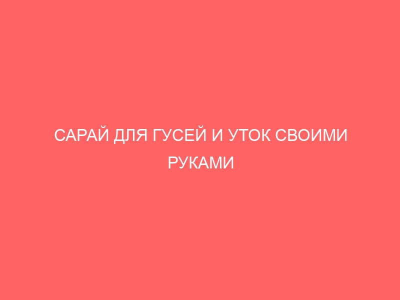 САРАЙ ДЛЯ ГУСЕЙ И УТОК СВОИМИ РУКАМИ